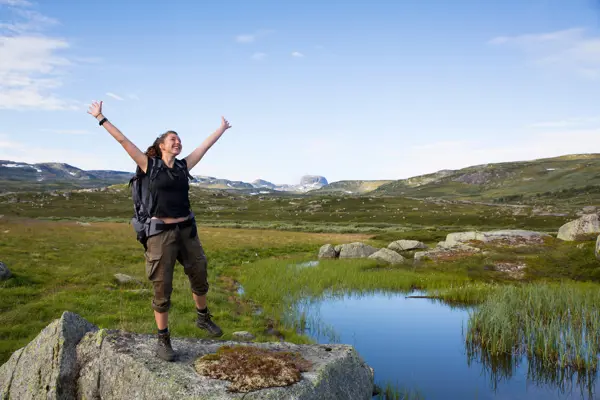 Hårteigen ved Hadlaskard, juli 2018.