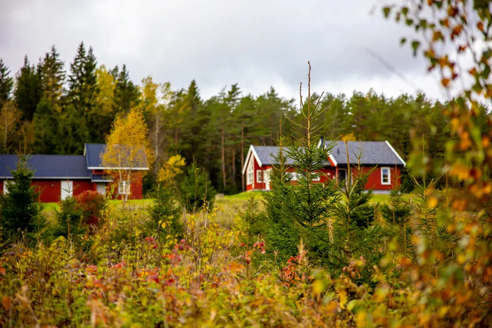 Østtorphytta