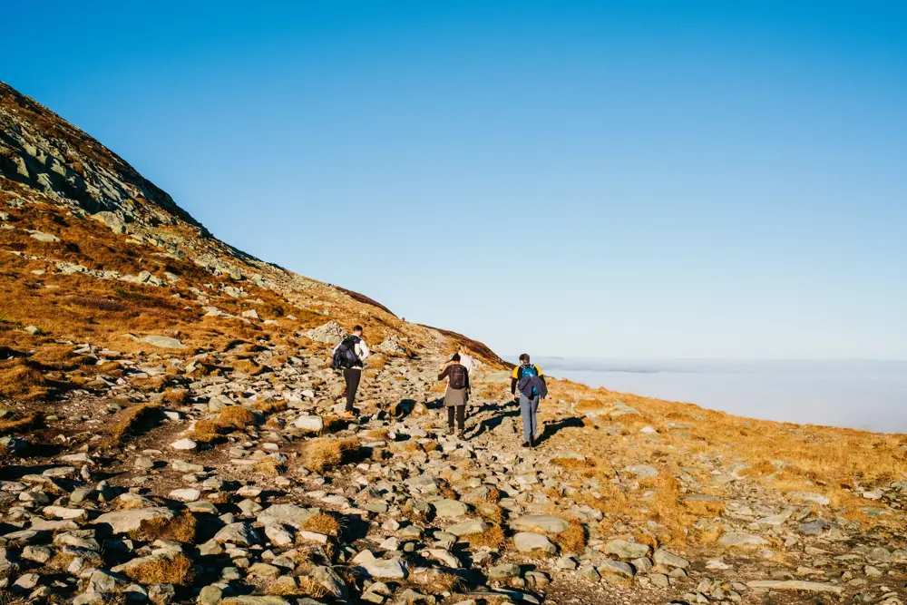 Mennesker som vandrer i fjellet