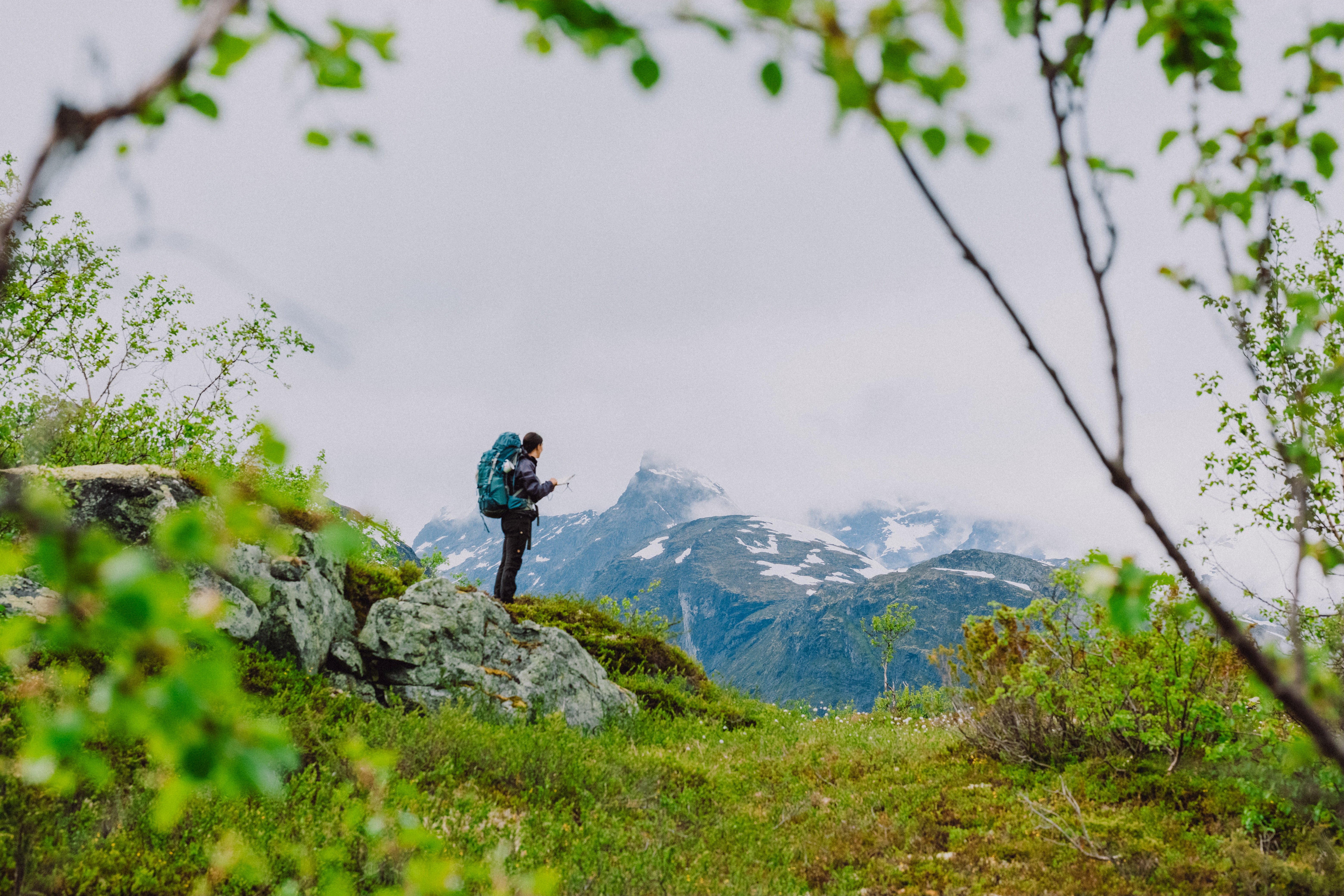 Person med fjellsekk med grønne vekster i forgrunnen og utsikt mot fjell