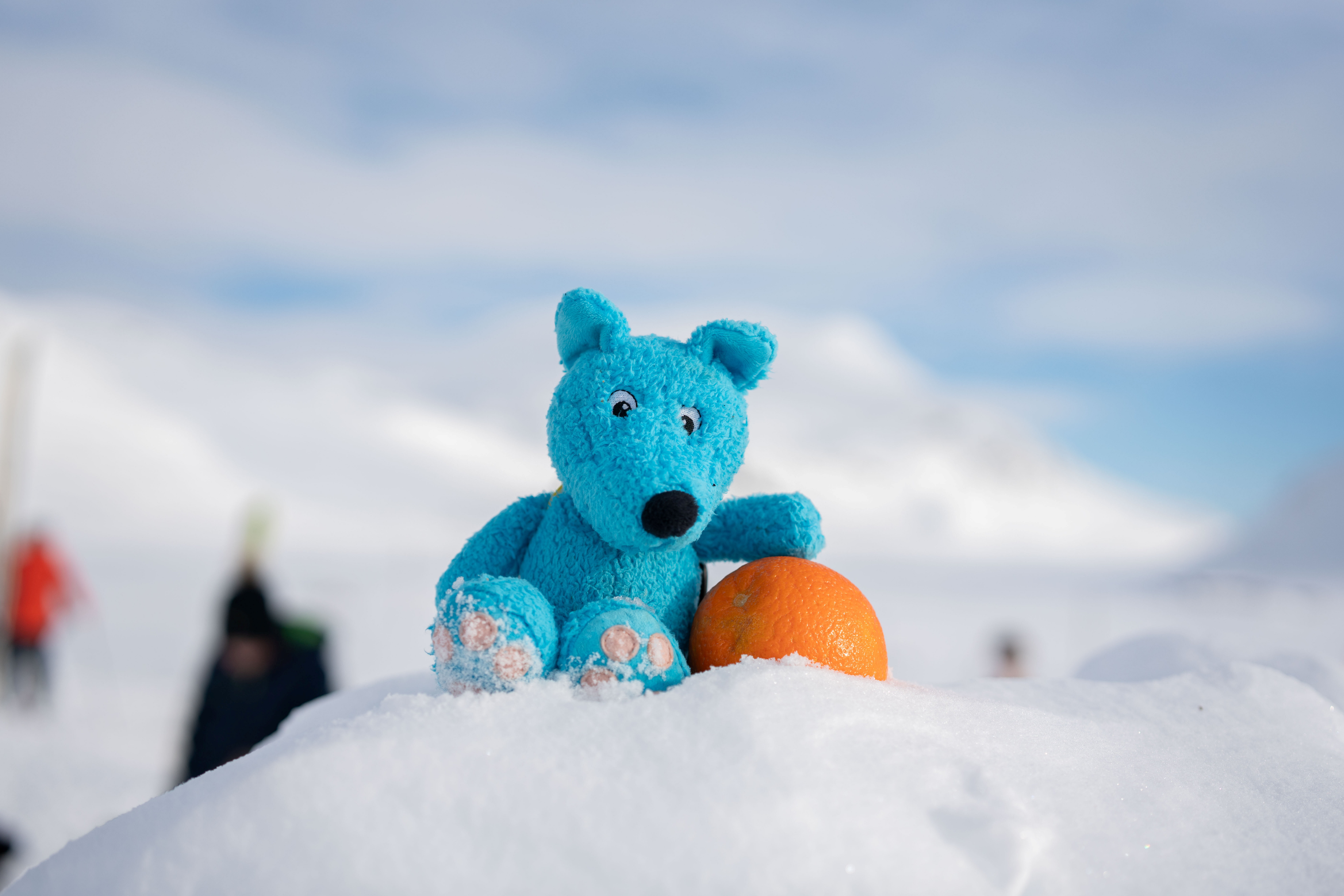 En bl&aring; bamse og en appelsin i vinterlandskap