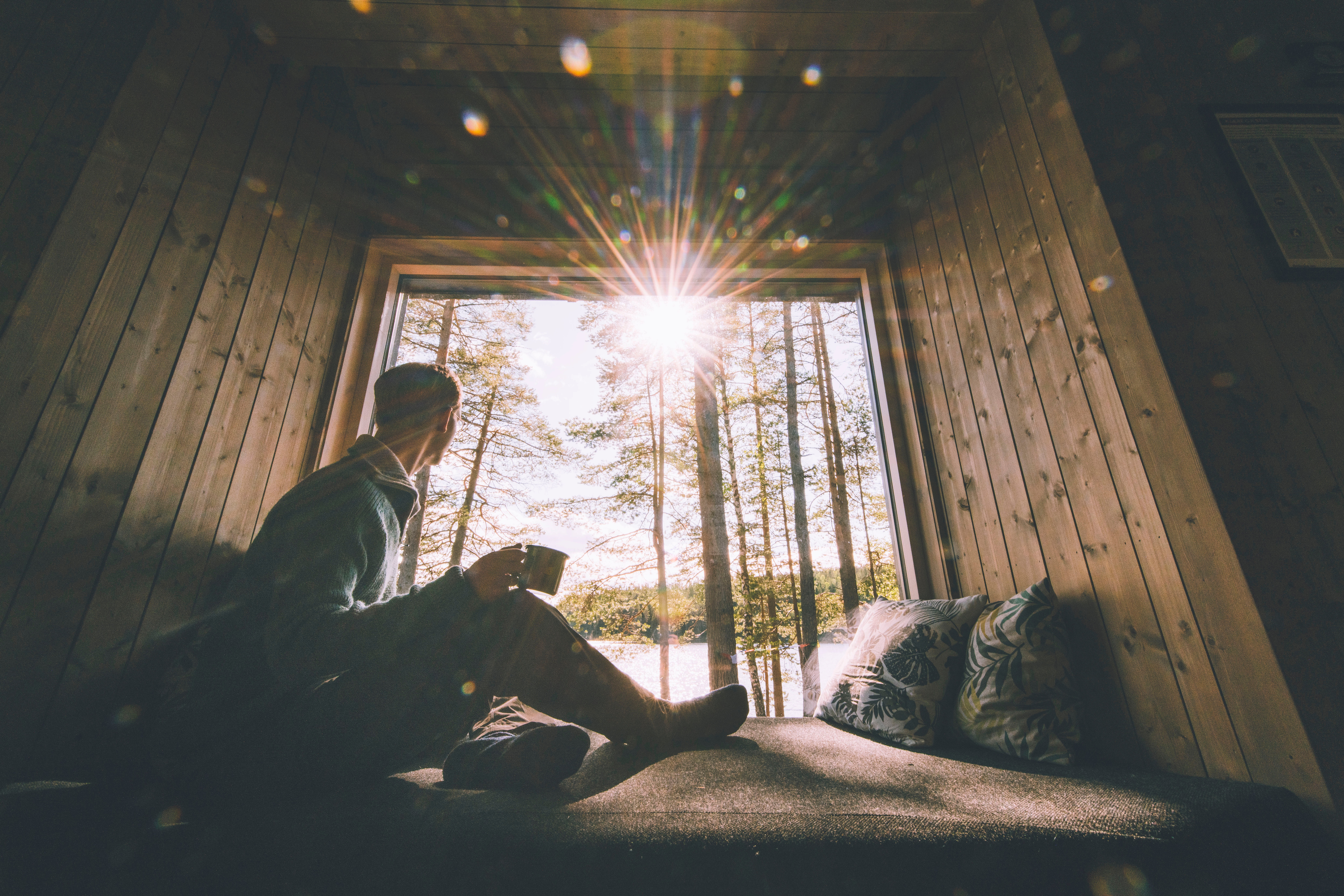 En mann som sitter i et vindu og ser utover skogen
