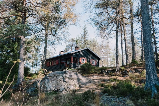 Brun hytte i skogen