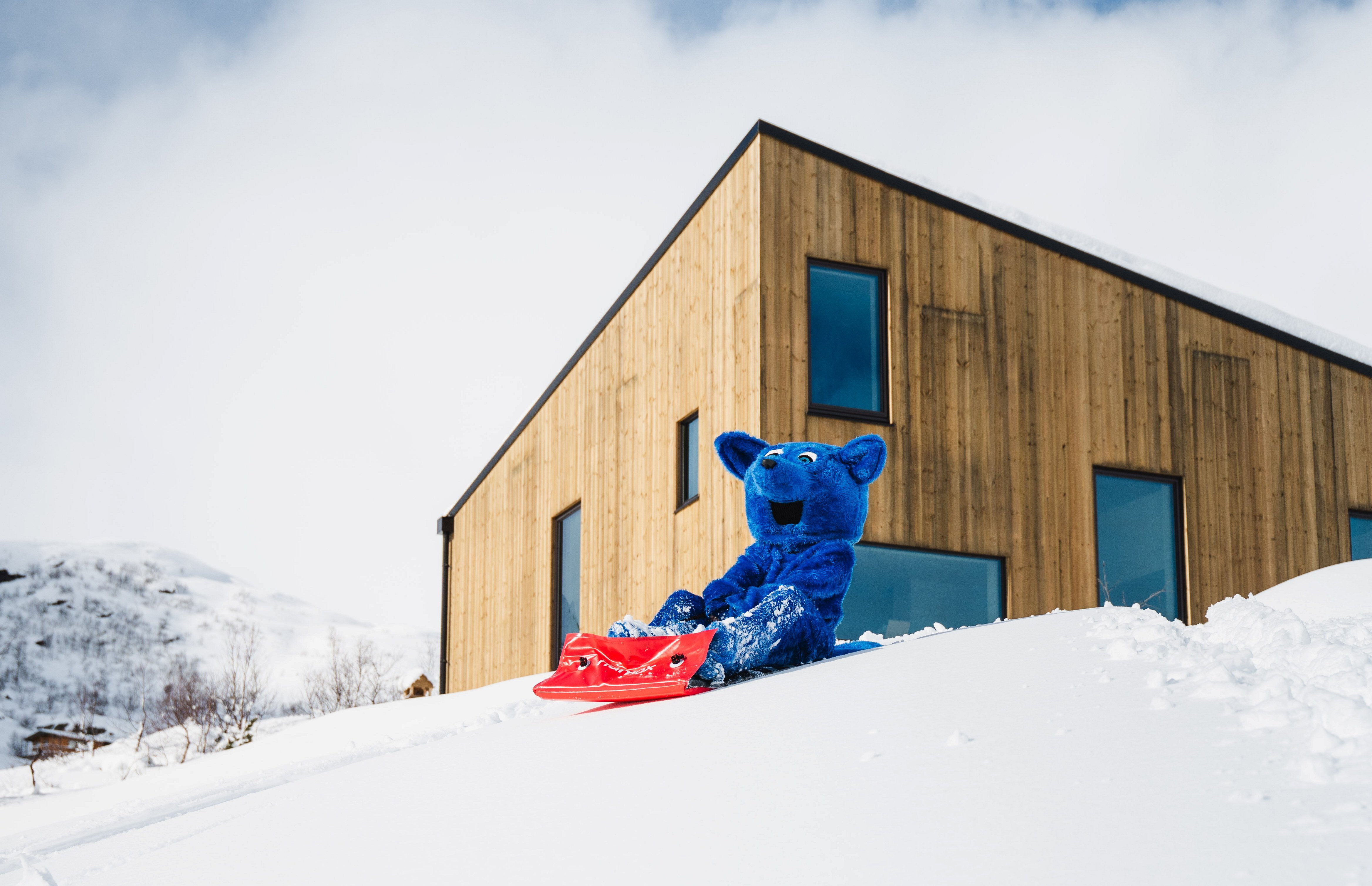 En bl&aring; bamse rutsjer p&aring; et r&oslash;dt akebrett utenfor en trefarget hytte.