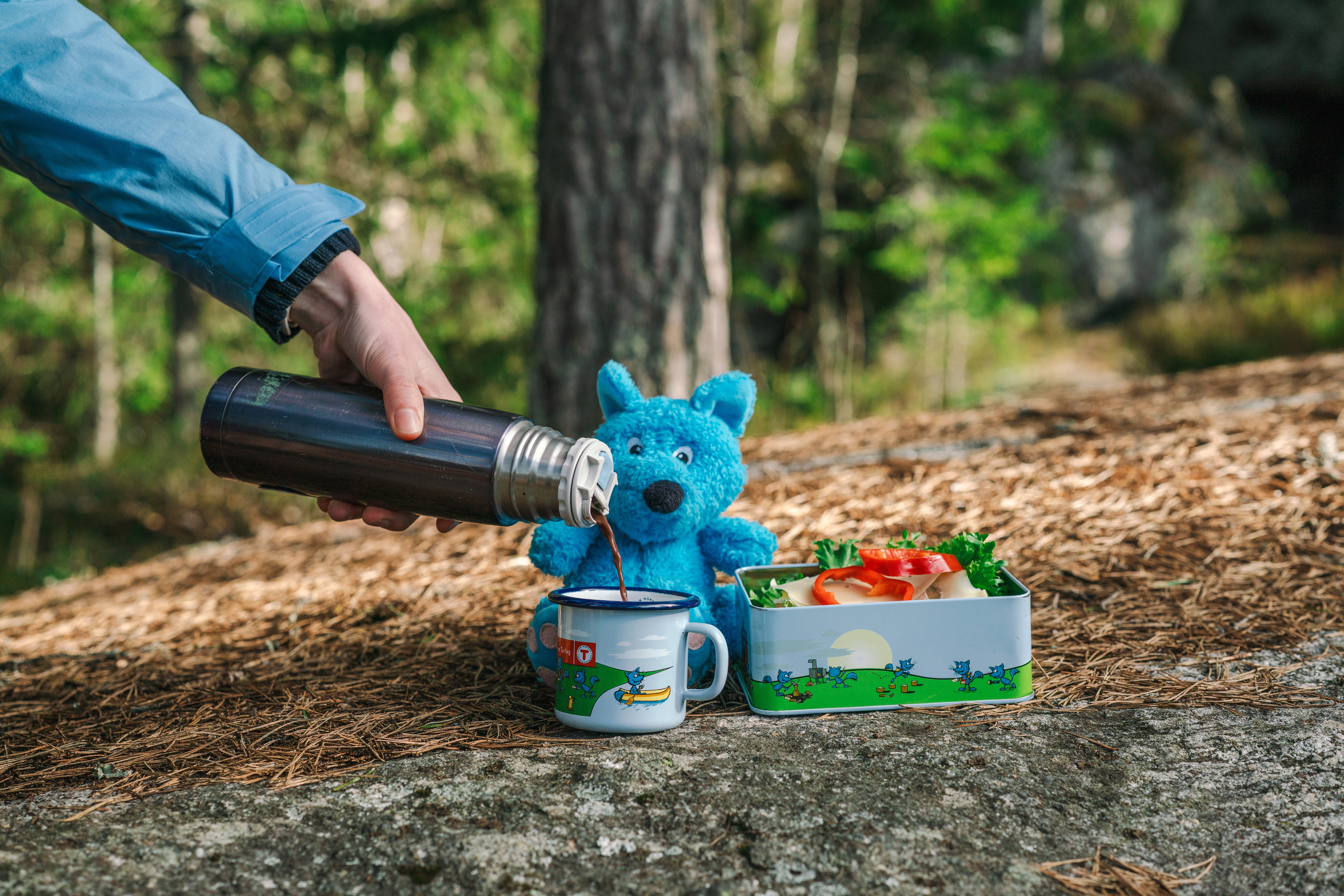 matboks, termos og bamse ute i skogen