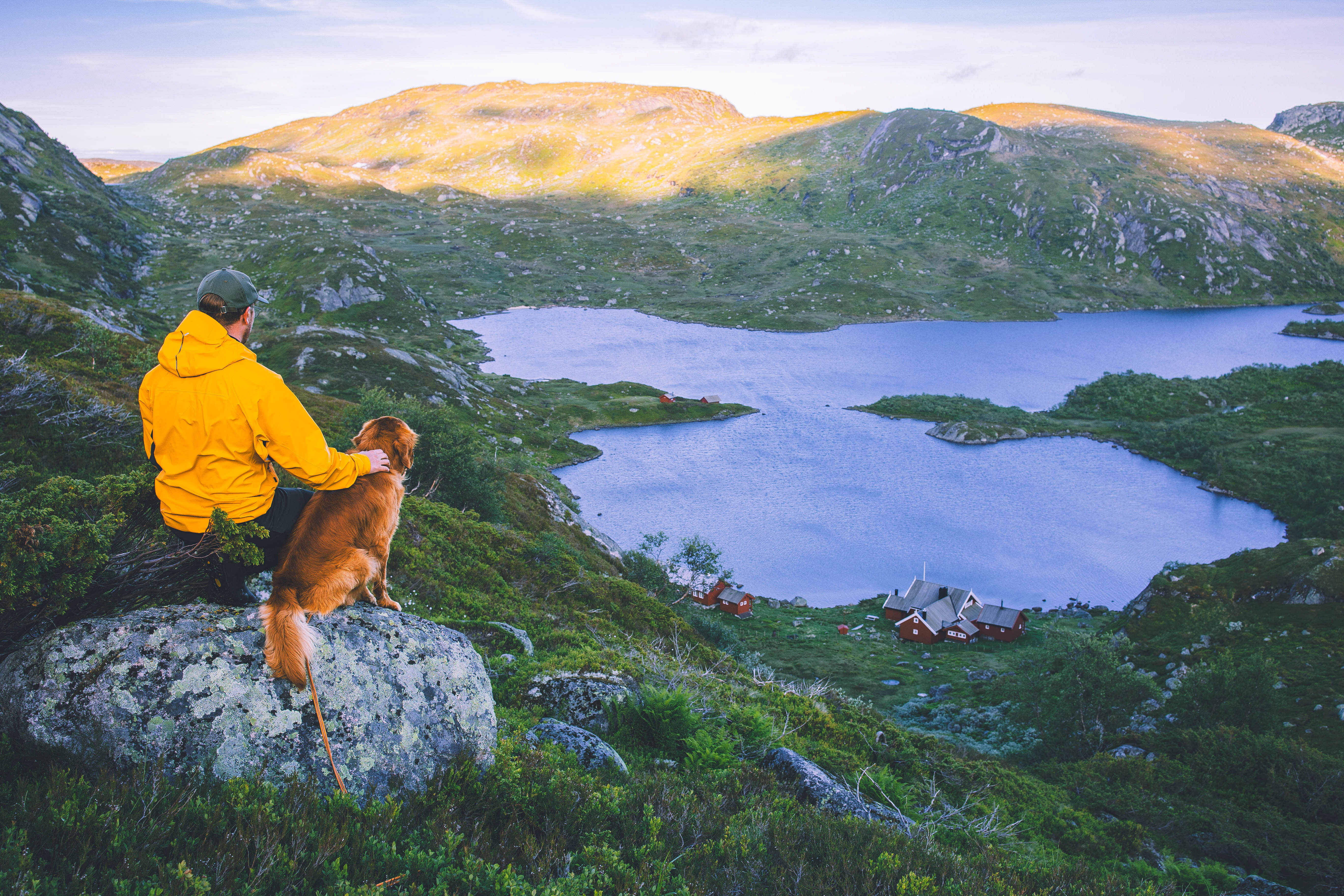 mann og hund ser utover vakkert landskap p&aring; fjellet i setesdalsheiene