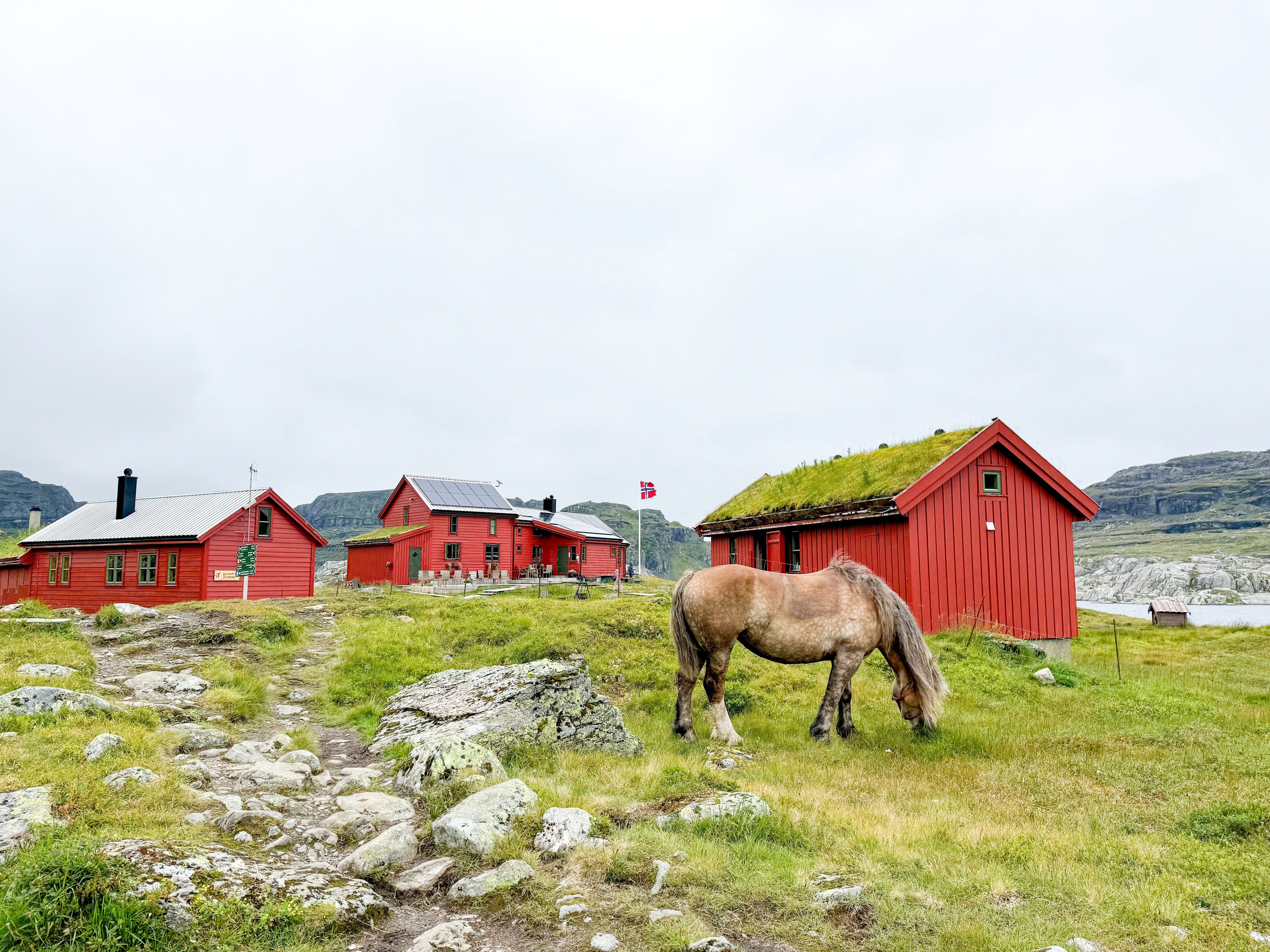 Hest foran r&oslash;d turisthytte