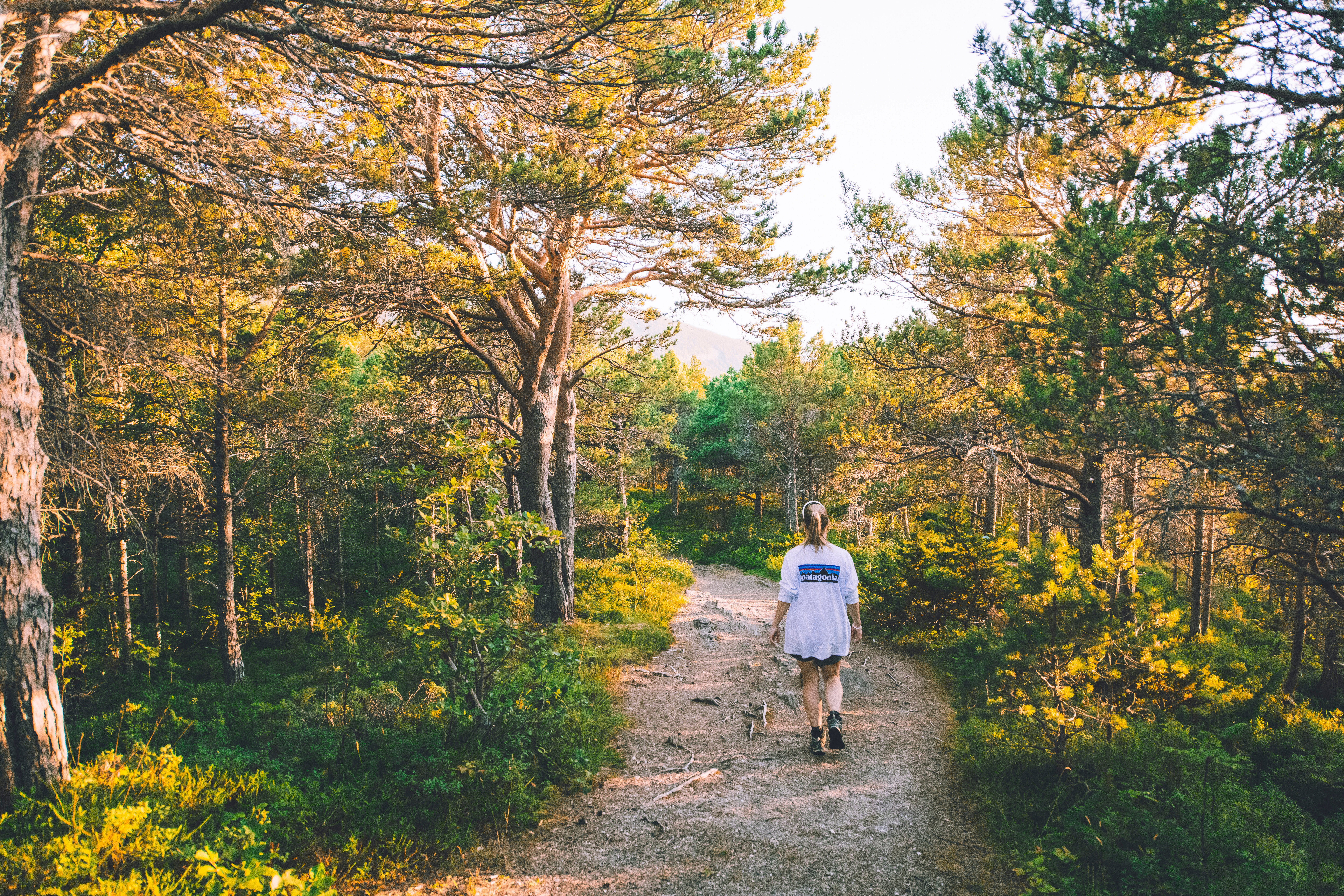 dame g&aring;r p&aring; sti i skog
