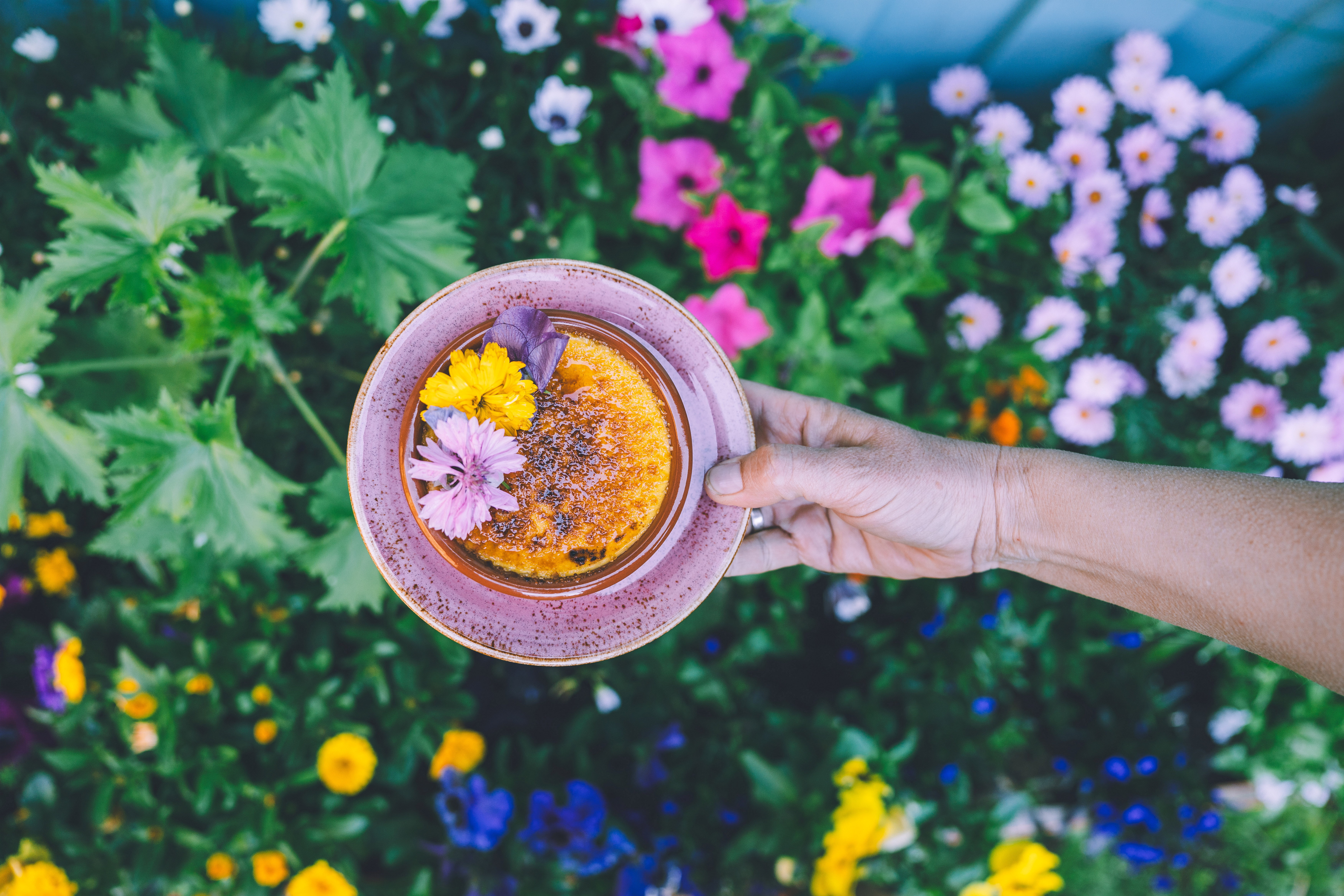 N&aelig;rbilde av en tallerken med creme brule med fargerike blomster p&aring; toppen
