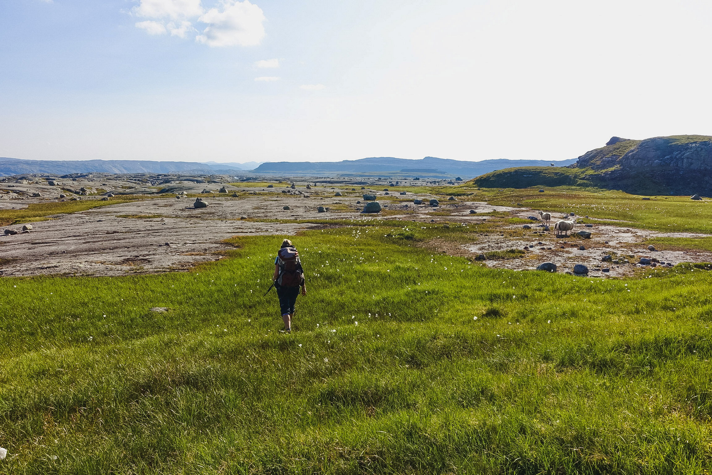En dame g&aring;r i et landskap p&aring; h&oslash;yfjellet.