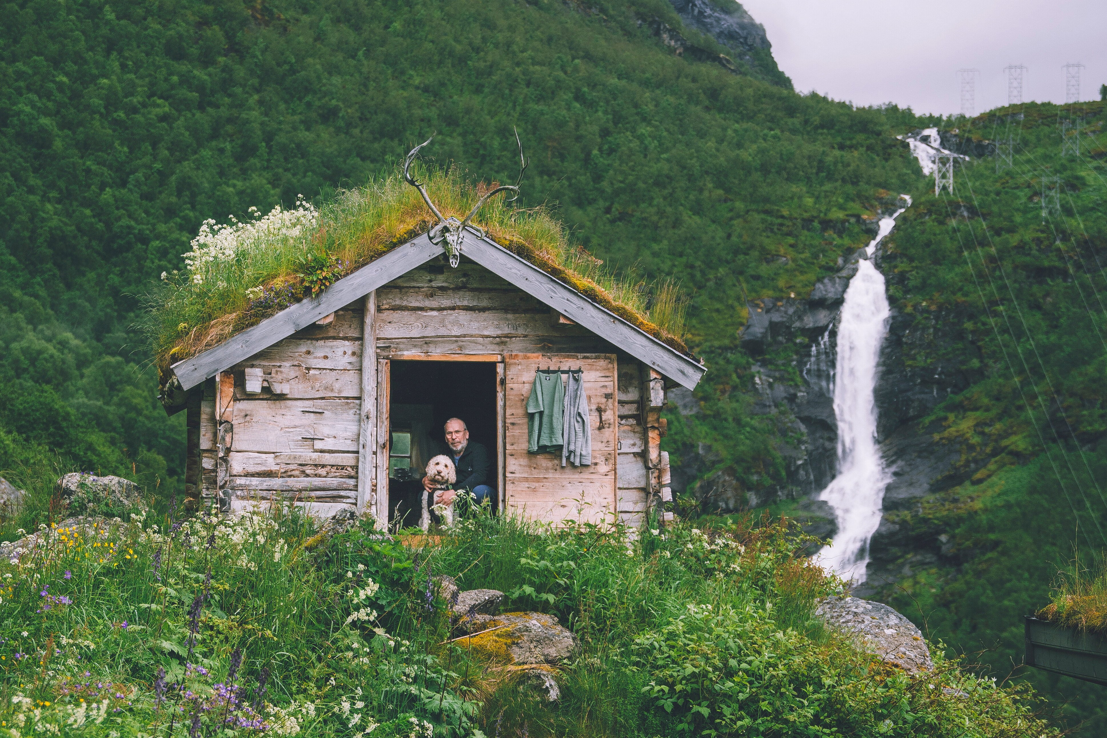 en mann og en hund om sitter i &aring;pningen p&aring; ei lita hytte midt i en skog