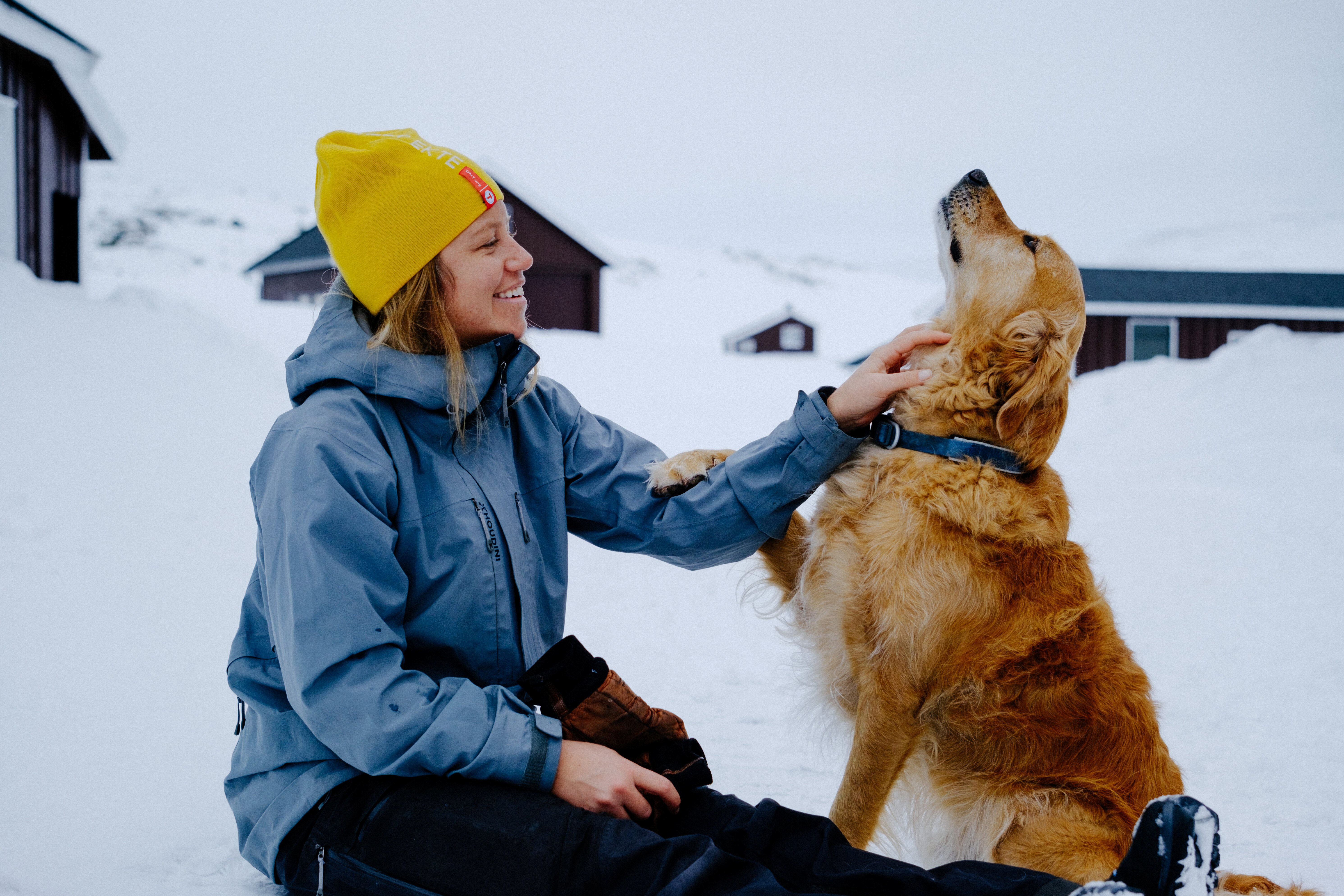 person som klappen en hund utend&oslash;rs i sn&oslash;