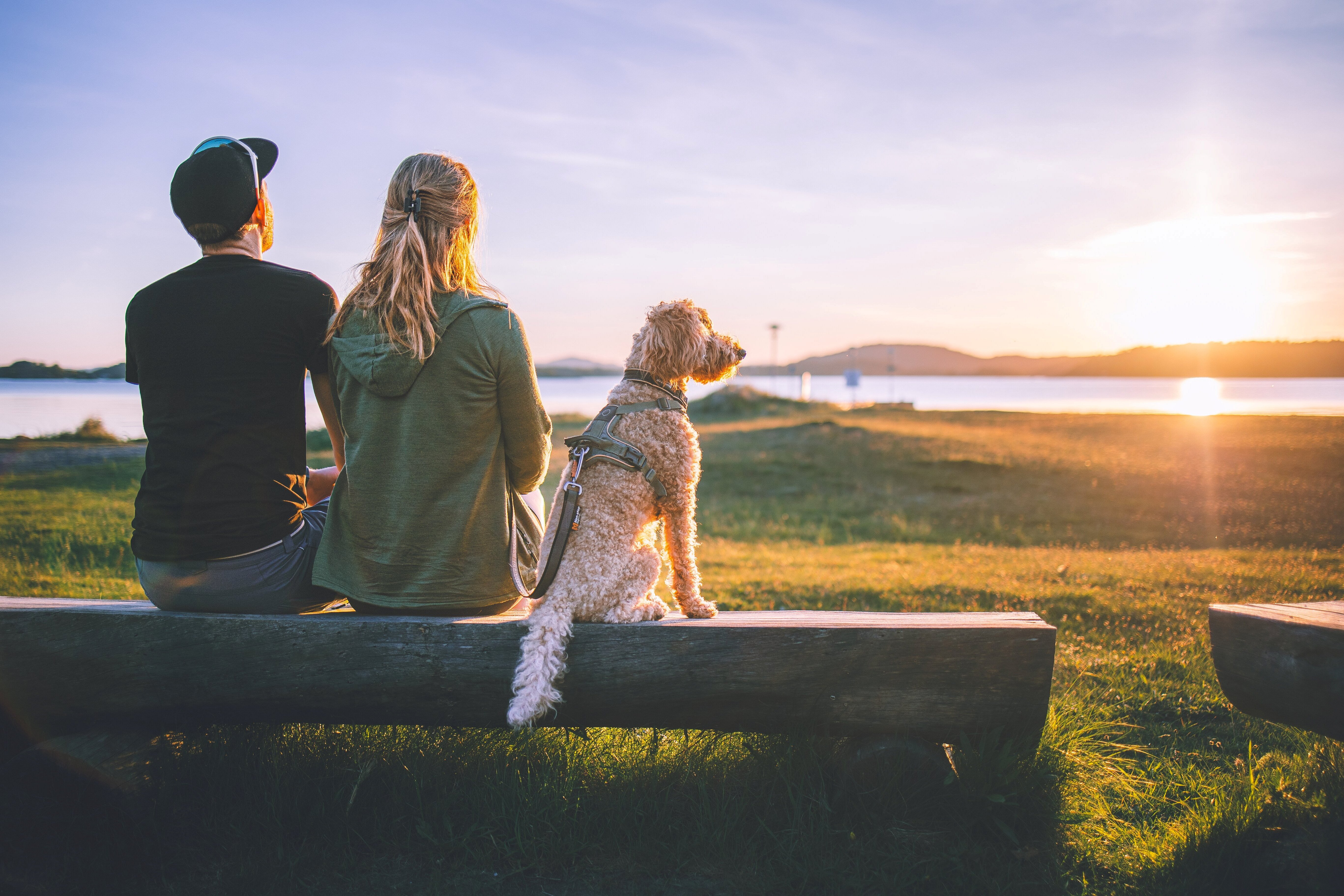 en mann og en kvinne som sitter p&aring; en benk med en hund