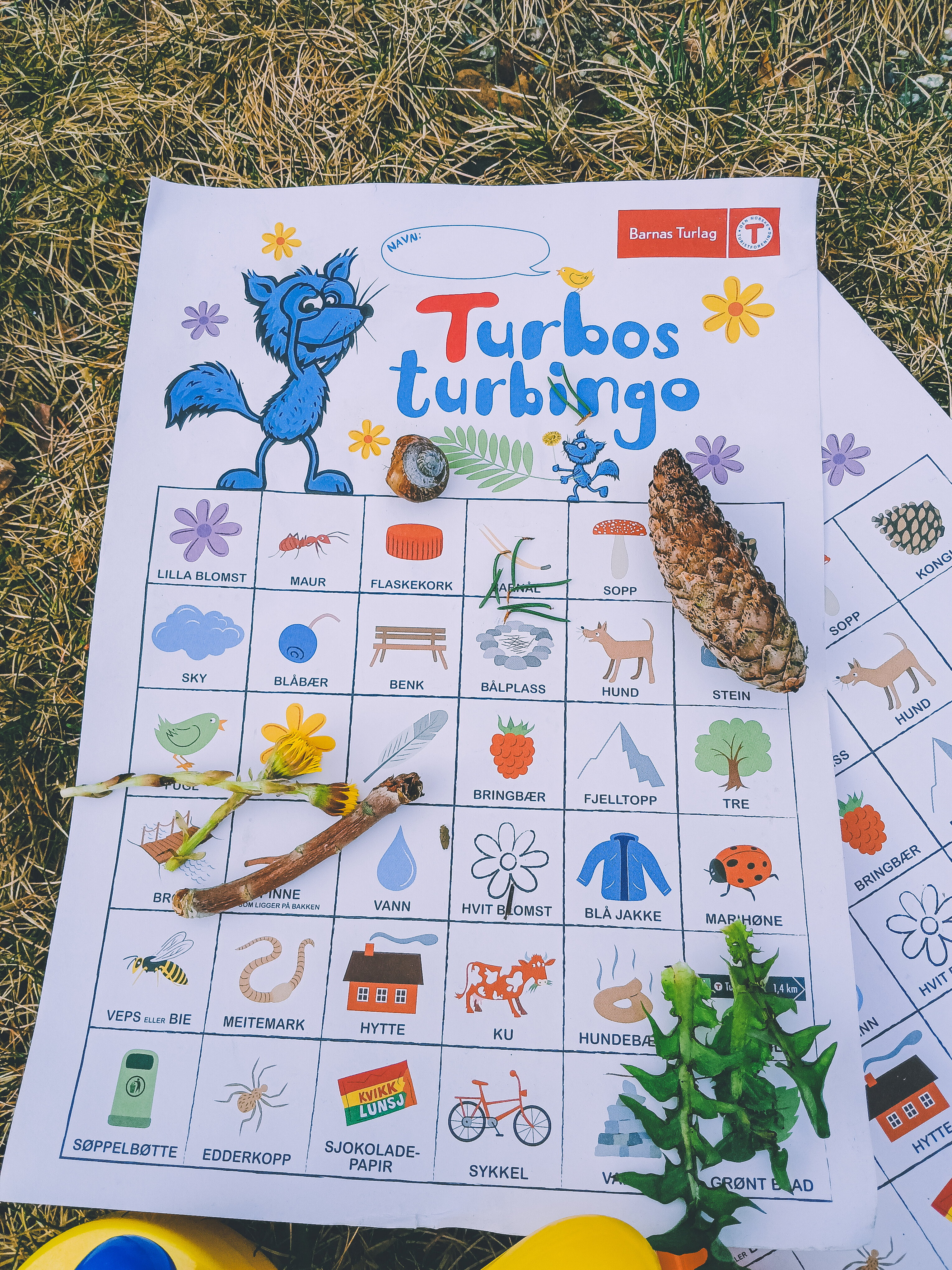 bilde av et ark hvor det st&aring;r turbo-bingo. p&aring; arket er det tegnet inn ulike ting man finner i naturen, slik som gul blomst, sopp, maur og kongle.