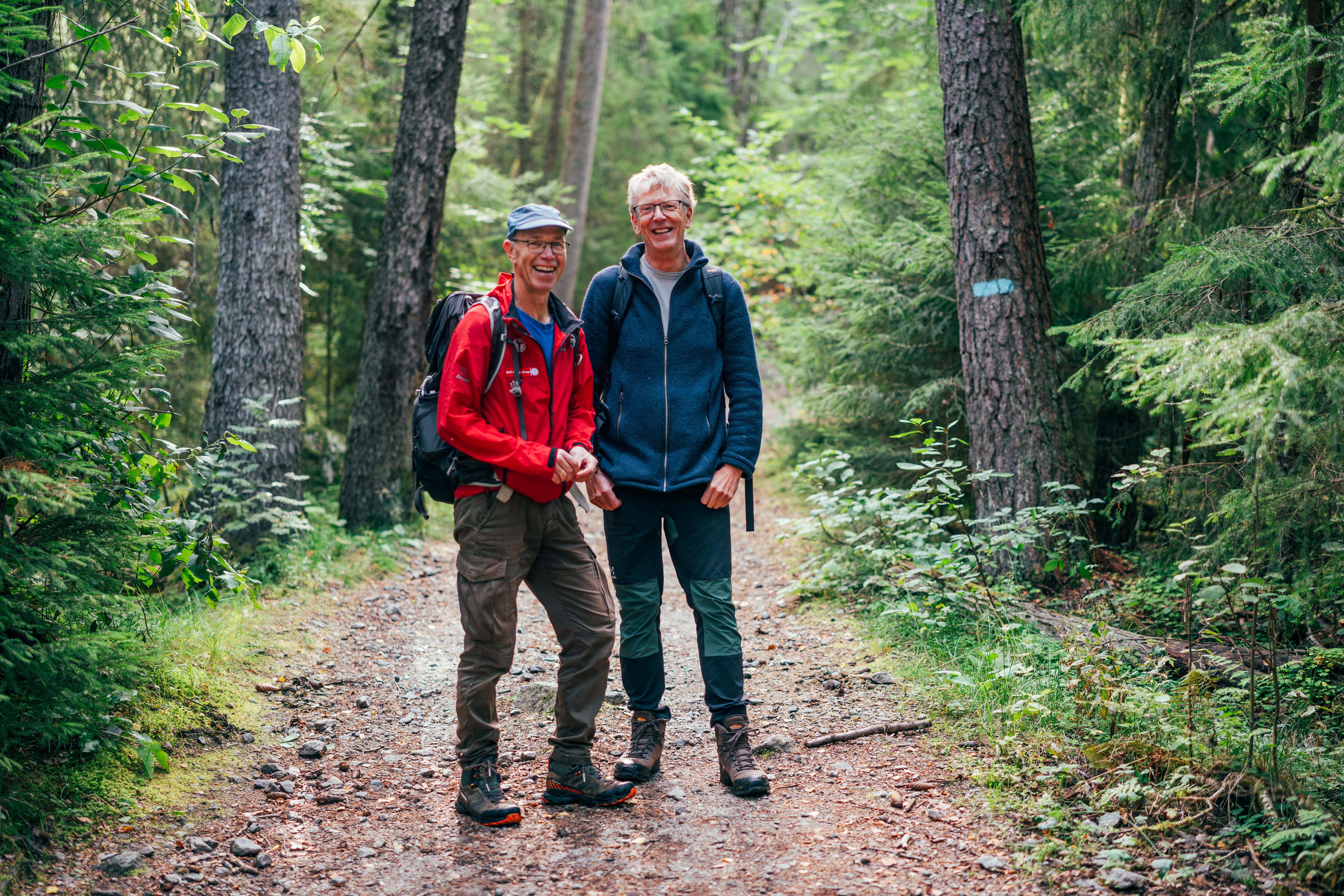 to personer p&aring; en sti i skogen 
