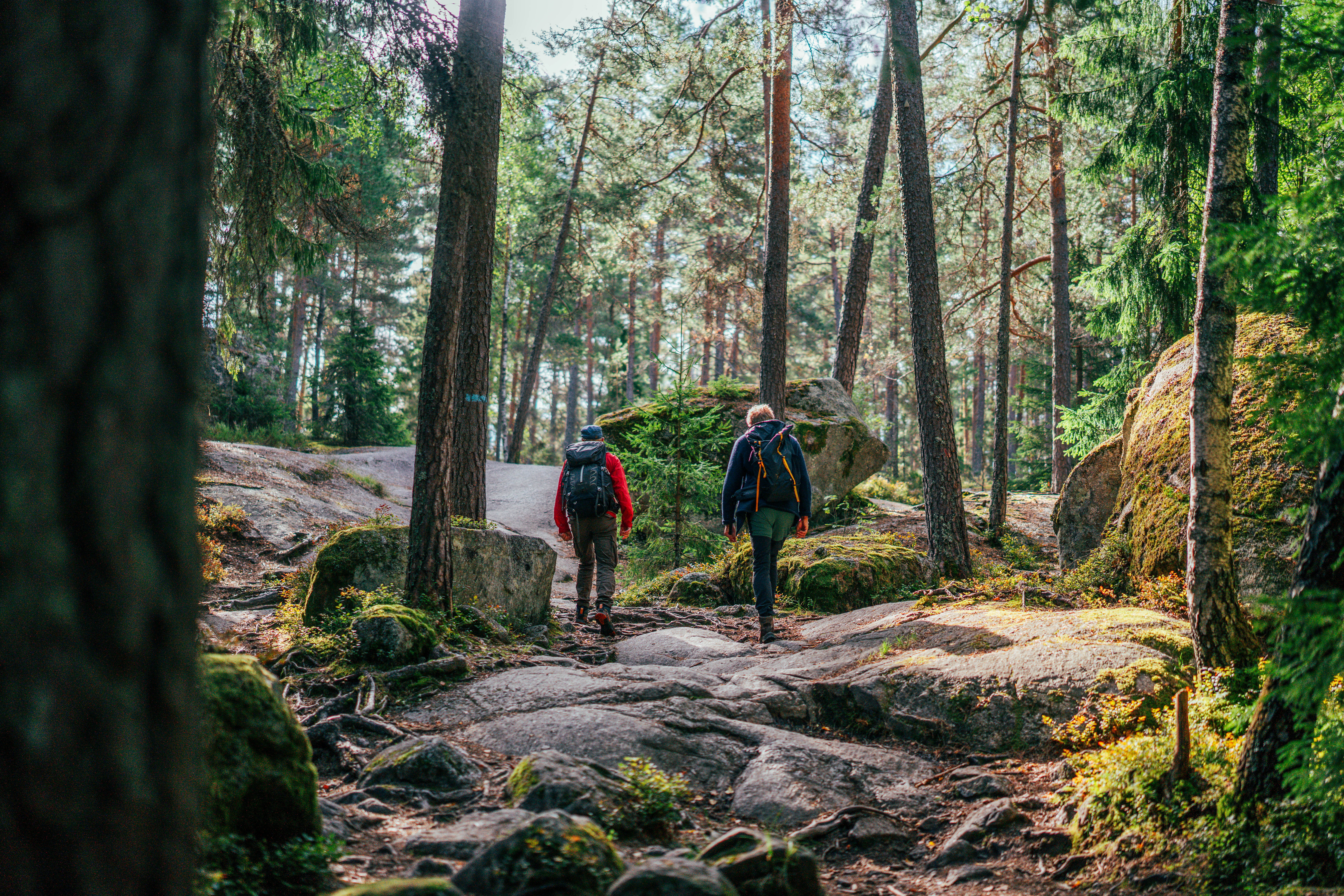 personer ute i skogen p&aring; en sti 