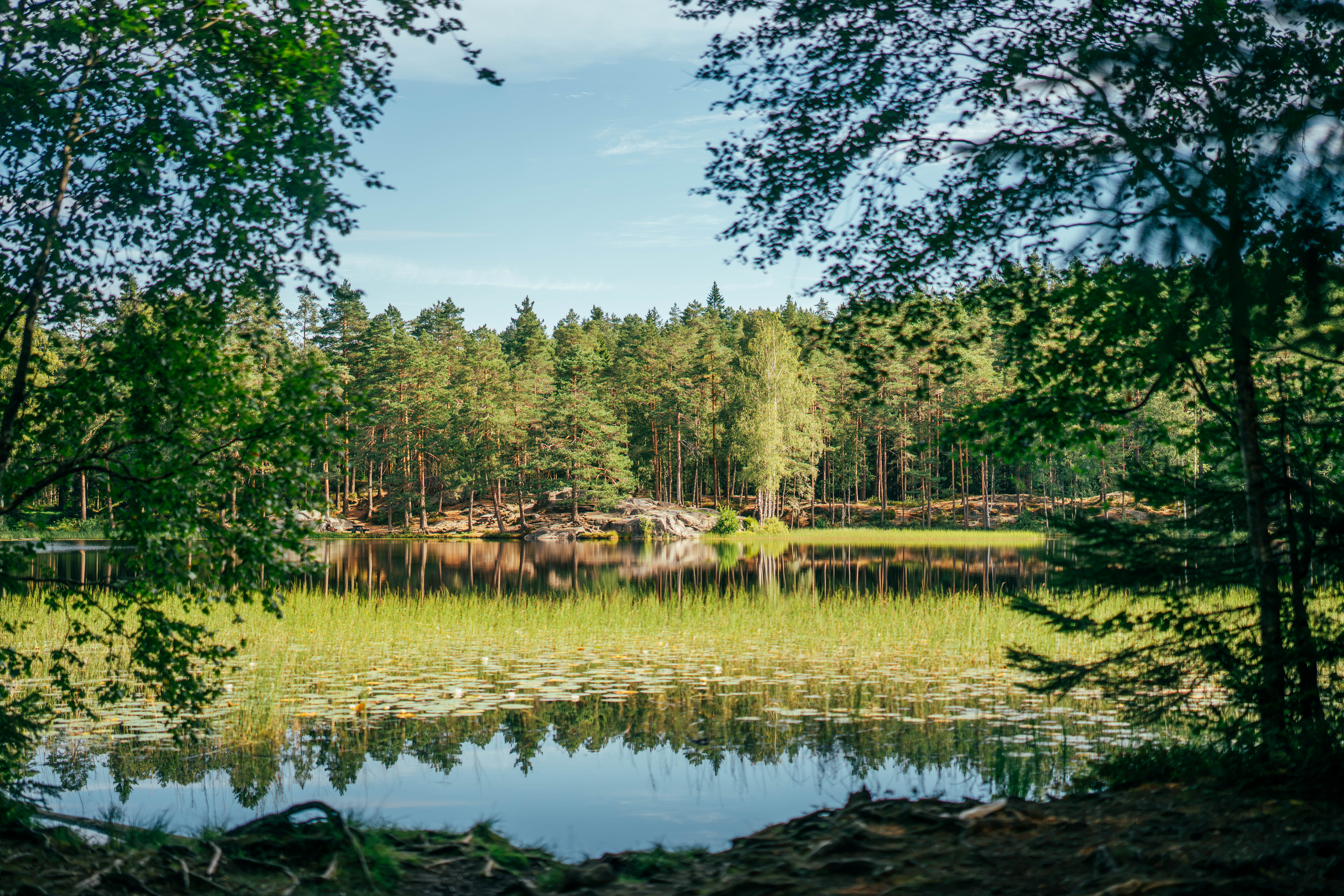 et vann i skogen