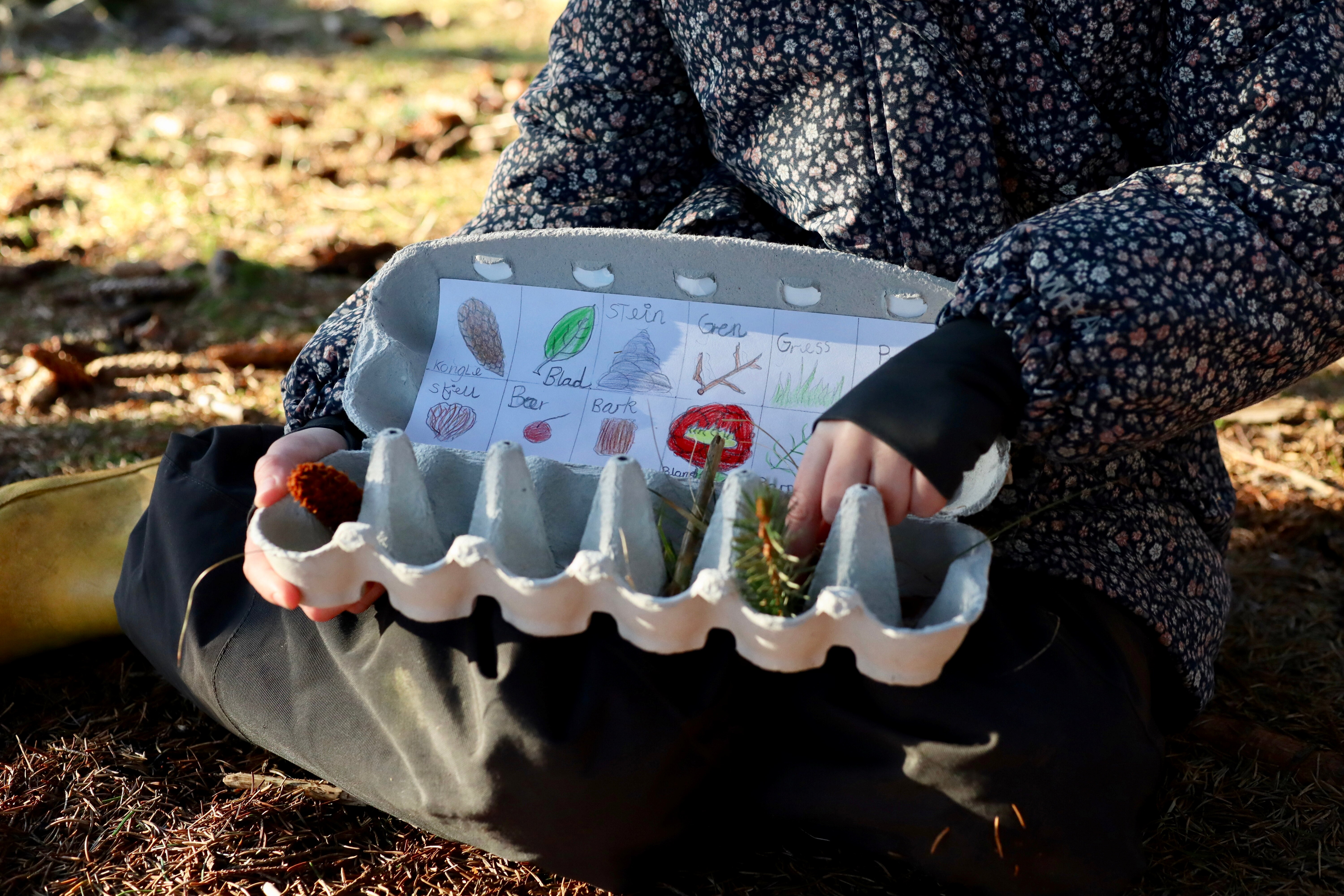 bilde av en eggekartong hvor man har samlet ulige ting som blad, kongle og gress som en del av en naturbingo