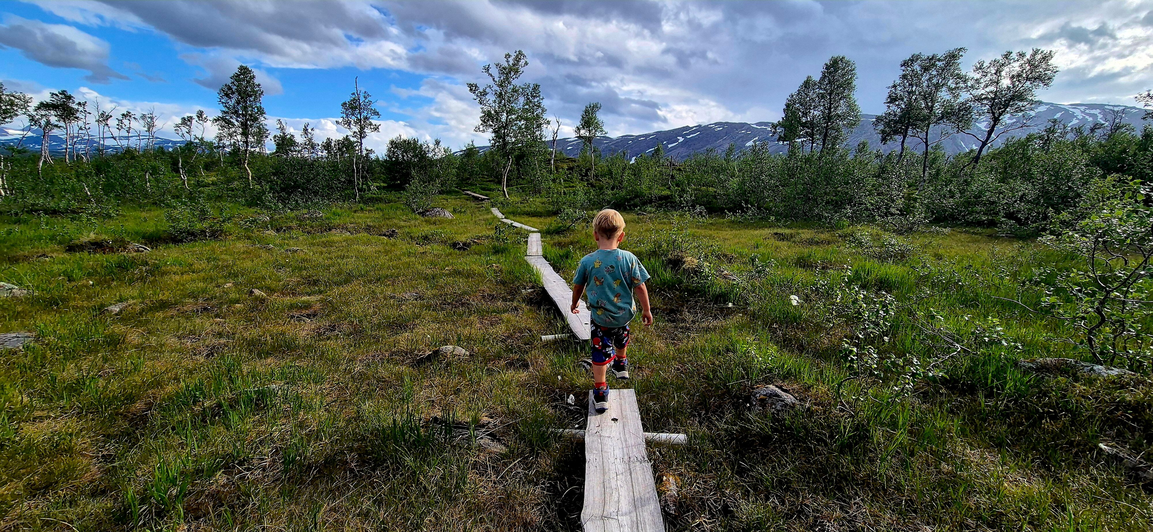 Gutt g&aring;r p&aring; klopper i fjellterreng