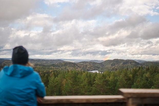 Person som st&aring;r i et utsiktst&aring;rn og skuer utover gr&oslash;nn skog.