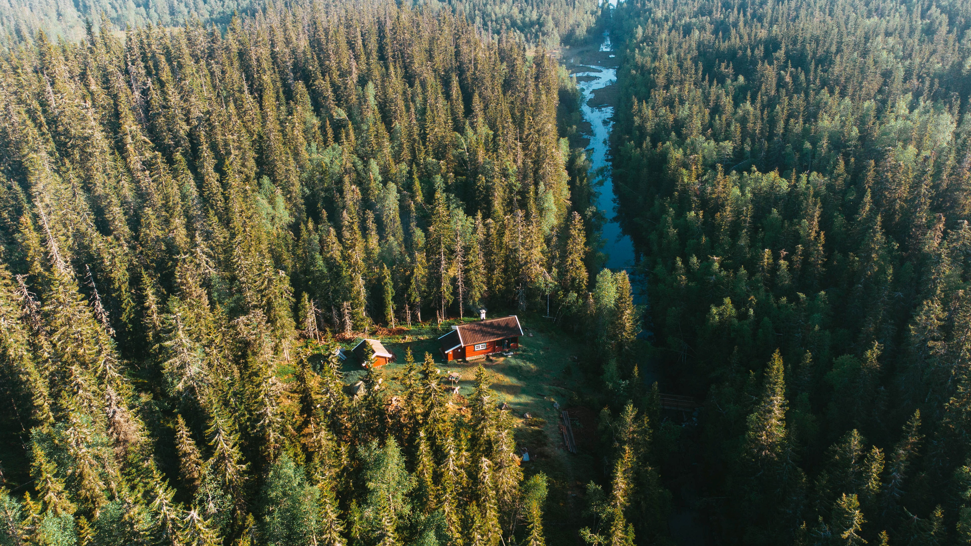 R&oslash;d t&oslash;mmerkoie i barskog
