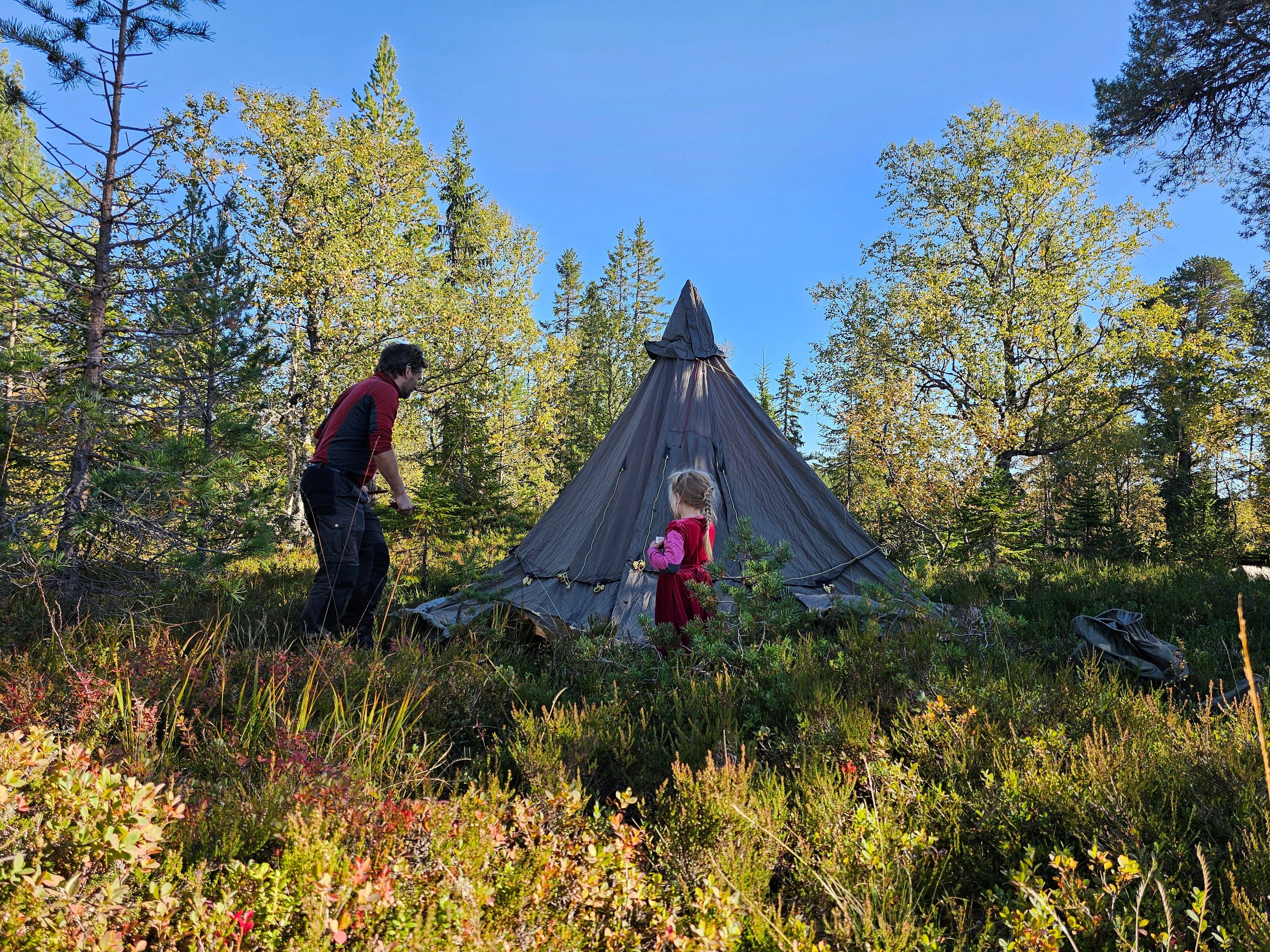 pappa og datter setter opp lavvo i skogsterreng