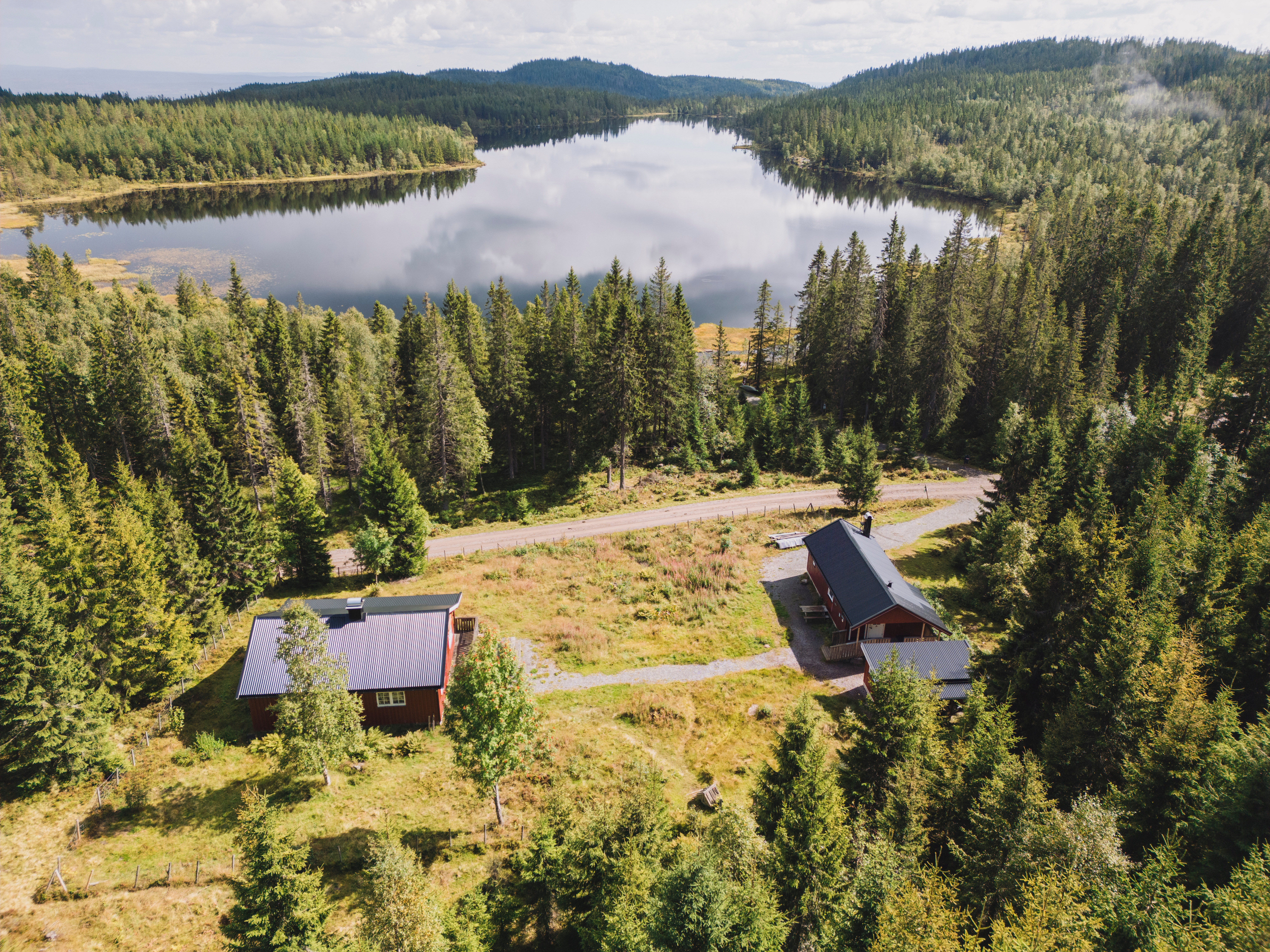 Dronebile av en r&oslash;dmalt ved en innsj&oslash;